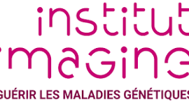 Logo institut imagine