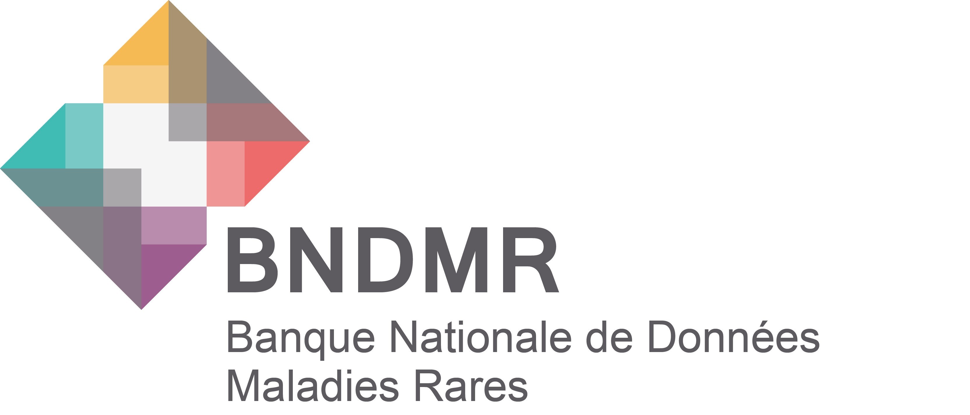 Logo BNDMR